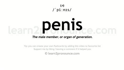 penis englisch|PENIS definition in American English 